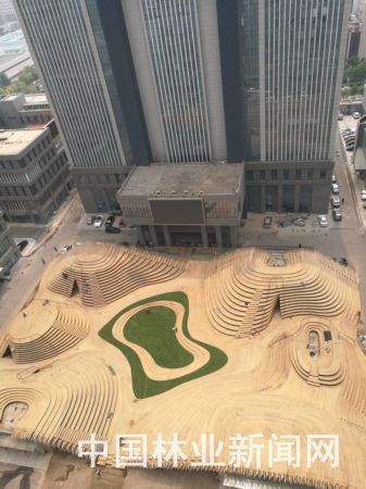 國內(nèi)最大城市竹制景觀工程竣工 自然與城市的完美融合