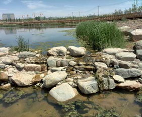 蘭州園林景觀工程預計年底全面完工，城市顏值再提升